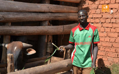 Burundi, il Microcredito comunitario è un piccolo seme di idee.