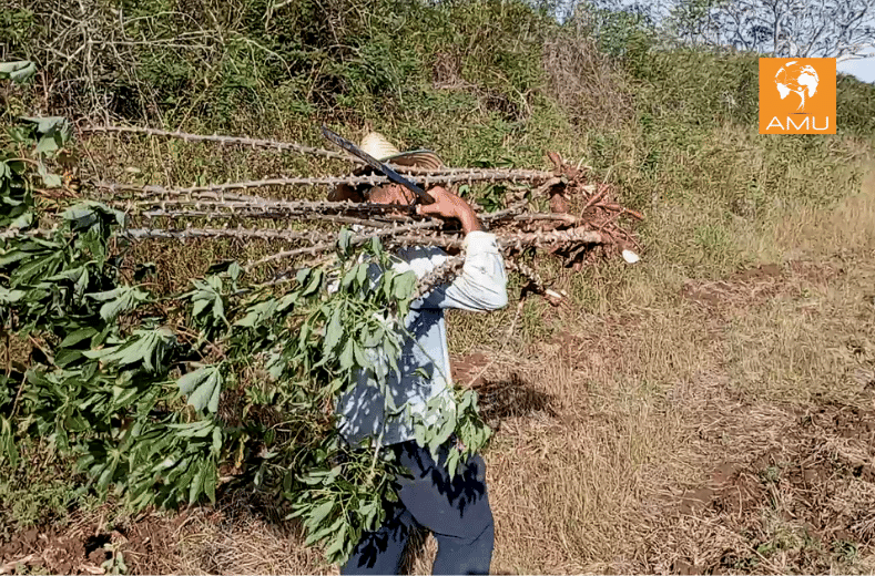 Cuba, la fattoria di Ivan