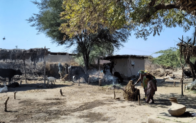 Pakistan, una giornata in un campo medico