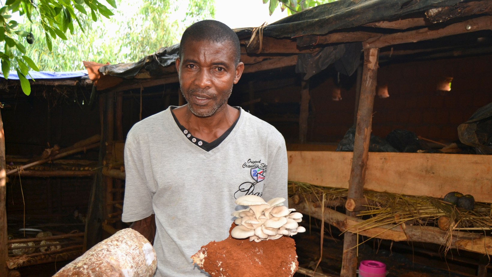 Burundi: coltivare funghi con il microcredito comunitario