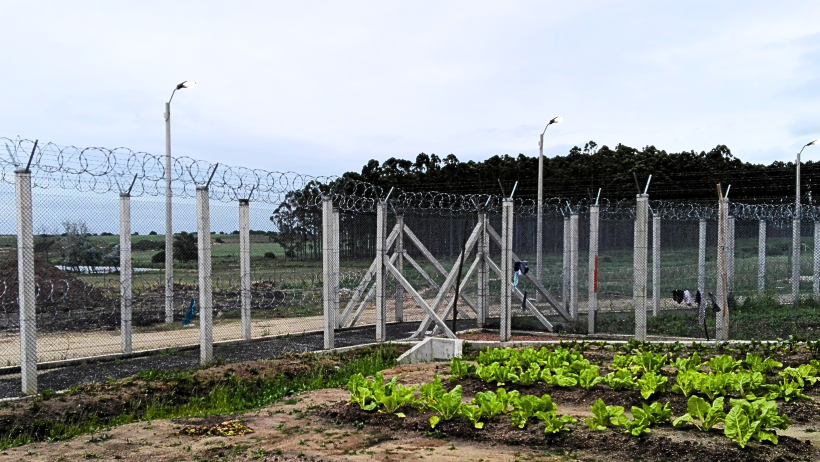 Ricominciare dopo il carcere