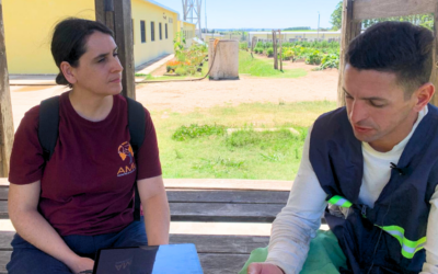 Come acqua nel deserto