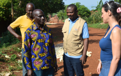 World Day for Cultural Diversity: Dialogue, Respect, and Cooperation