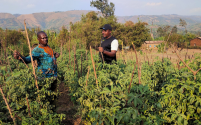 Burundi: Ecological latrines and sustainable agriculture have already changed the lives of communities.