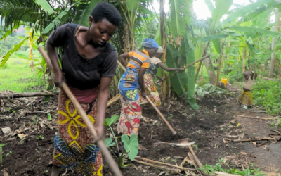 A new awareness of development in Burundi (also for women)